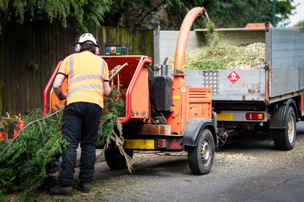 Best Aeration Services  in Farmersville, OH