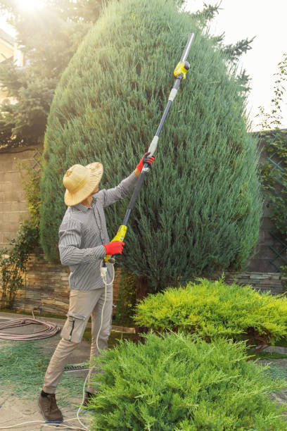 Best Hedge Trimming  in Farmersville, OH